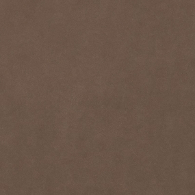 Graphic 30 Brown 448/07