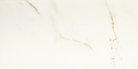 Керамогранит DIGIT CALACAT.RETT.LAP.49,5X99