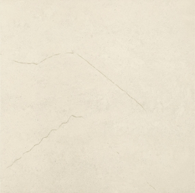Evoluzione Pietre Pietra di Vicenza Rettificato 40x40 тон А527