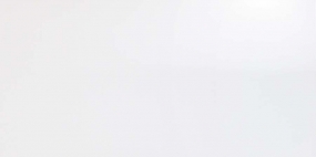 Solid  White Glossy 40x80 Керамический гранит