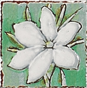 Stucchi Italiani 20 St. Giada Camelia Tozz.D1 тон X - снято с производства