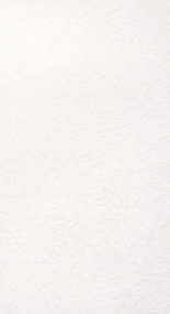 Керамическая плитка VELVET BIANCO 25x46