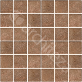 Caprice CAP40 48X48X8mm