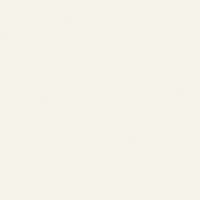 Керамогранит  BIANCONERO BIANCO        35X35