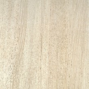 Esko Salix Rettificato 41x41 tono 45B