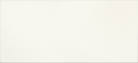 Керамическая плитка BIANCONERO BIANCO        25X56