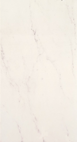 Mirabilia 30.5x56 Bianco Carrara T46