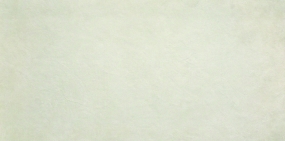 Керамогранит Evolve White 60X120