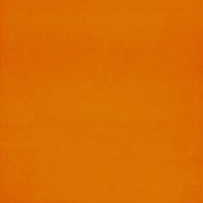 Graphic 30 Orange 350/09