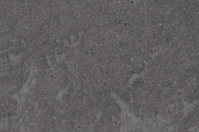BEDONIA LEV.  40X60