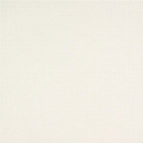 ROMANTICA 33,3X33,3 ROMANTICA BIANCO тон 6460
