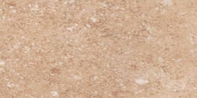Керамогранит THEME COL.GOLD STONE 300x600