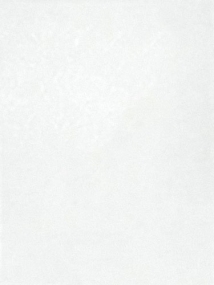 White Style Soft 25x33.3 тон D48 - снято с производства