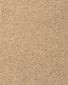 MySkin Senape 28x35 tono 50/1 - снято с производства
