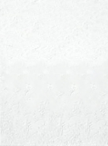 White Style Paper 25x33.3 тон L48- снято с производсва